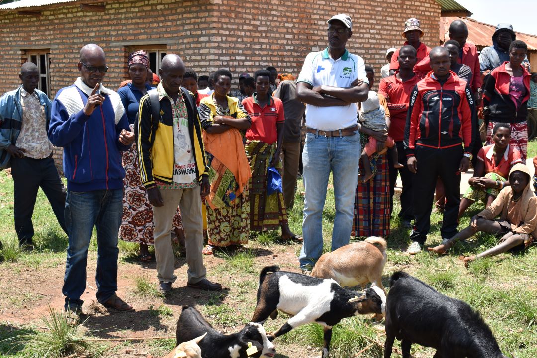 DSC 0190 Discours du chef collinaire lors de la distribution des chèvres à Bugenyuzi
