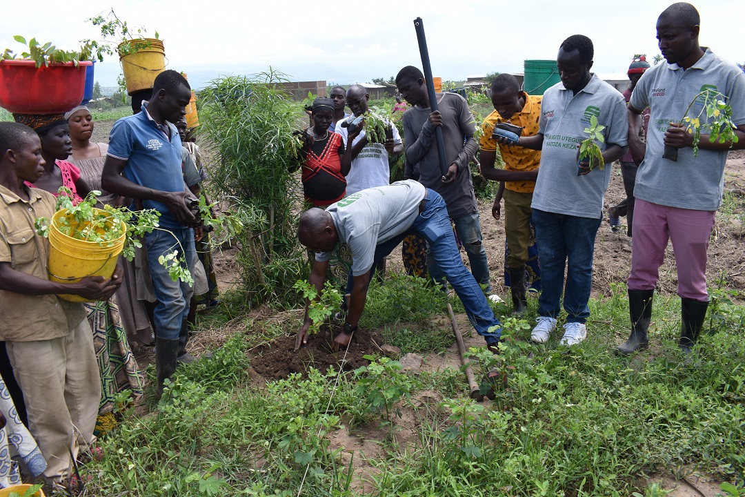 Démonstration_de_la_plantation_des_arbres.jpg